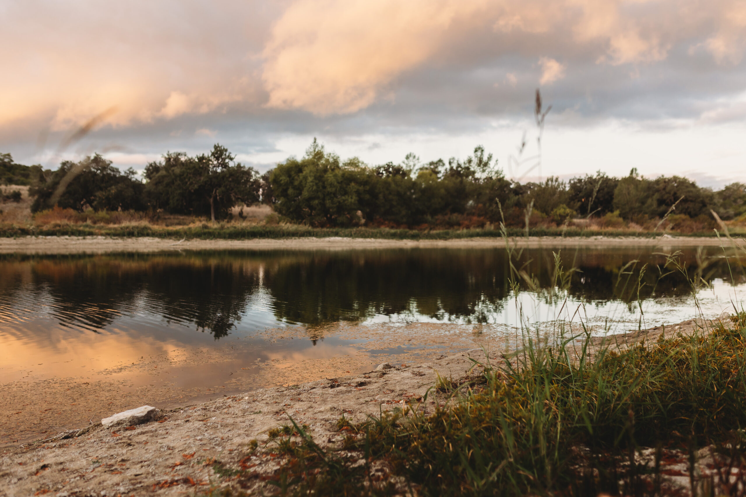 Joshua Springs Nature Preserve in the morning